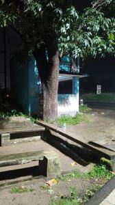 Image of 600 Sq.ft 2 BHK Apartment / Flat for sale in Serampore, Hooghly for Rs. 1800000