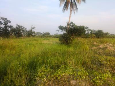 Image of 4320 Sq.ft Residential Plot / Land for sale in Bhasa Eco Village, Joka, Kolkata for Rs. 900001