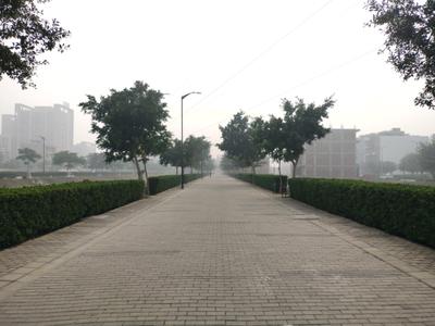 BPTP District Internal Roads 1