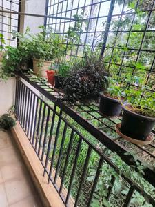 Bedroom One Image of 1185 Sq.ft 2 BHK Apartment / Flat for rent in Meenakshi North Avenue, Sampigehalli Bengaluru for Rs. 35000
