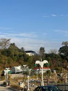 Image of 250 Sq.ft Residential Plot / Land for sale in Vedvan Valley By EMS Realty, Kairwaan Gaon, Dehradun for Rs. 25000000