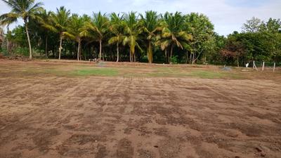 Image of 6426 Sq.ft Residential Plot / Land for sale in Tottanuthu, Dindigul for Rs. 8502000