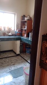 Kitchen Image of 1290 Sq.ft 2 BHK Independent House for sale in Mopka Bilaspur for Rs. 4750000