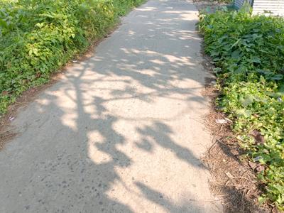 Image of 1050 Sq.ft Residential Plot / Land for sale in Nandarampur, Kolkata for Rs. 590000