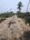 Bhasa Eco Village Internal Roads 1