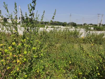 Image of 167 Sq.ft Residential Plot / Land for sale in Medchal, Secunderabad for Rs. 5400000