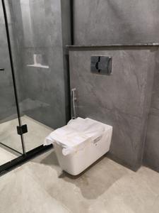 Common Bathroom Image of 2850 Sq.ft 4 BHK Apartment / Flat for sale in Ireo Skyon, Sector 60 Gurgaon for Rs. 57900000