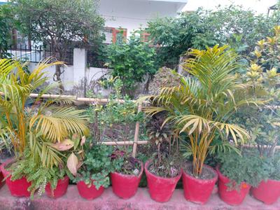 Image of 2610 Sq.ft 4 BHK Independent House for sale in Jogiwala, Dehradun for Rs. 16000000