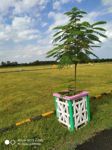 Image of 1000 Sq.ft Residential Plot / Land for sale in Kachipuram Town, Kanchipuram for Rs. 800000
