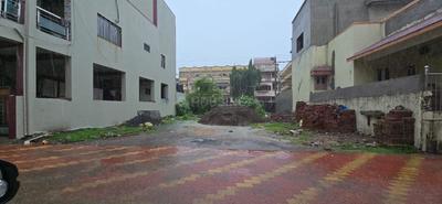 Kim Plot View 1