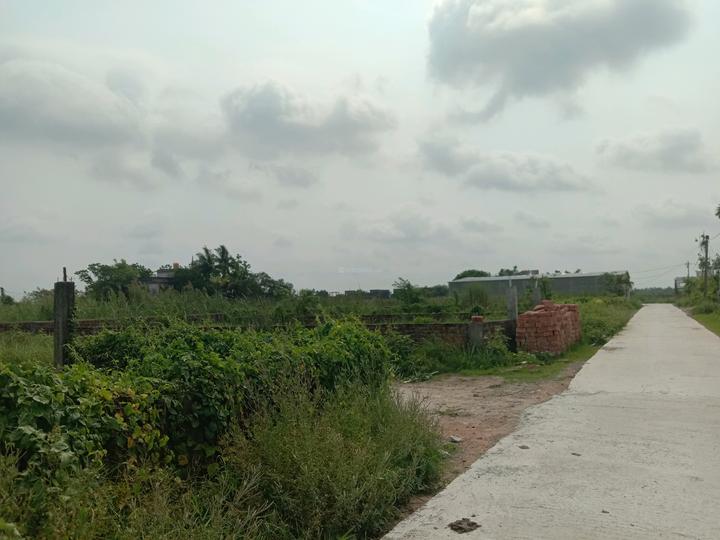 Apparent JB Garden Main Image 1