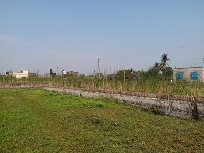 Prince Park Plot View 3