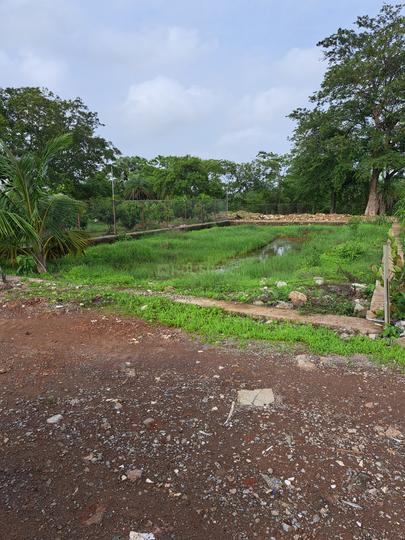 Culvem Village, Gorai Main Image 1
