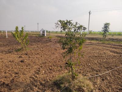 Image of 9600 Sq.ft Residential Plot / Land for sale in Walajabad, Chennai for Rs. 2400000