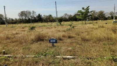 K.Hemmanahalli Plot View 3