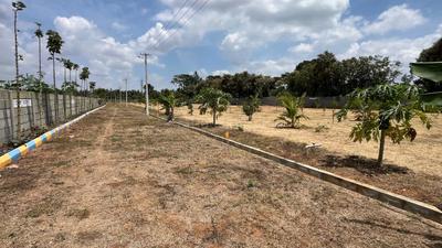 Image of 6012 Sq.ft Residential Plot / Land for sale in Hunsur, Mysore for Rs. 3584000