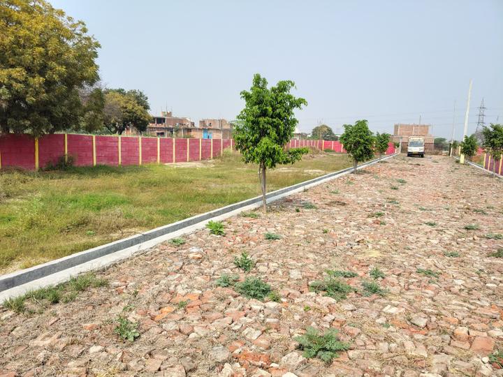 Phase 2 Main Image 1