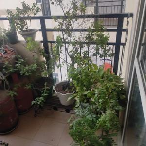 Balcony Image of 1240 Sq.ft 2 BHK Apartment / Flat for sale in AWHO Vay Sector 8B G, Vrindavan Yojana Lucknow for Rs. 8000000