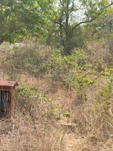 Image of 5400 Sq.ft Residential Plot / Land for sale in Rajanukunte, Bengaluru for Rs. 24300000