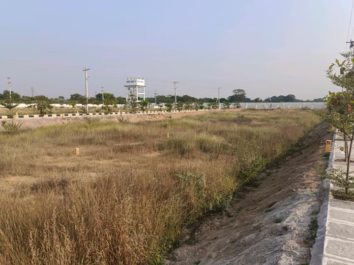 Nuthankal Plot View 1
