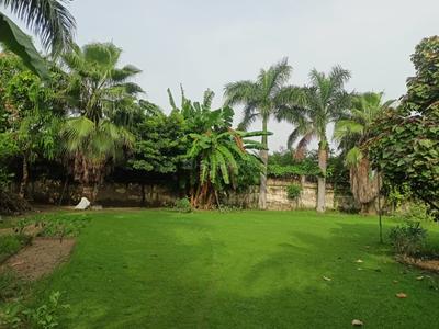 3 BHK Independent House