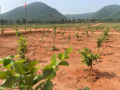 Image of 100 Sq.ft Residential Plot / Land for sale in Bhogapuram, Visakhapatnam for Rs. 600000