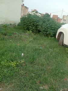 Residential Plot