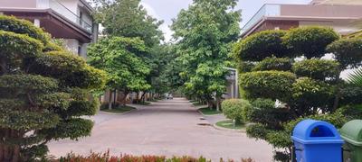 Image of 4000 Sq.ft 4 BHK Villa for sale in Gachibowli, Hyderabad for Rs. 85000000