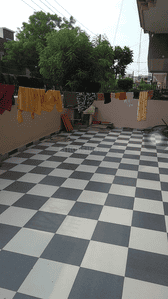 Image of 3150 Sq.ft 4 BHK Independent House for rent in Sector 14, Hisar for Rs. 35000
