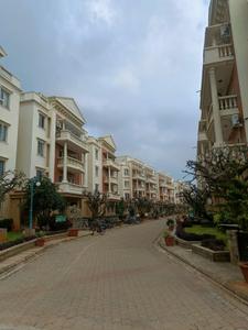 Image of 1100 Sq.ft 2 BHK Apartment / Flat for rent in Tata Sherwood Apartments, Vibhutipura, Bengaluru for Rs. 56000