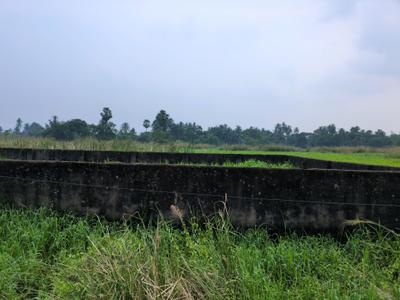 Image of 1440 Sq.ft Residential Plot / Land for sale in Wander Valley, Joka, Kolkata for Rs. 644422