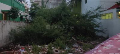 Puzhal More Images 3