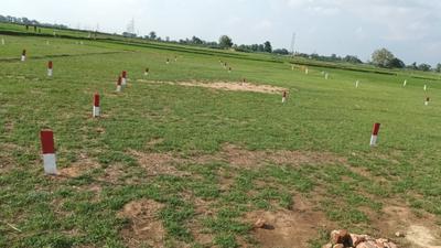 Bihta Plot View 3