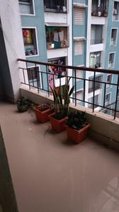 Balcony Image of Ravi in Pathardi Phata, Nashik