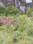 Huzur Plot View 2