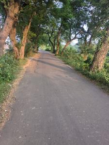 Image of 1440 Sq.ft Residential Plot / Land for sale in New Town, Kolkata for Rs. 2655000