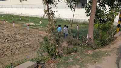 Image of 1200 Sq.ft Residential Plot / Land for sale in Kothiya, Patna for Rs. 6500000