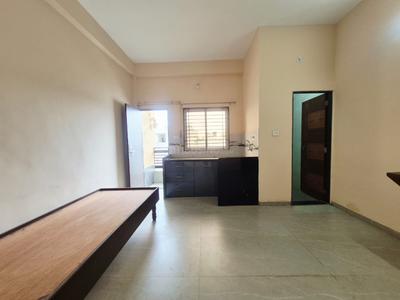 Hall Image of 350 Sq.ft 1 RK Apartment / Flat for rent in Mahalakshmi Nagar Indore for Rs. 11000