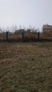 Image of 6973 Sq.ft Residential Plot / Land for sale in Mopka, Bilaspur for Rs. 7500000