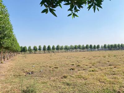 Image of 1500 Sq.ft Residential Plot / Land for sale in Shankar Nagar, Raipur for Rs. 3000000