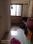 gulmohar nirvna 2 Kitchen 2