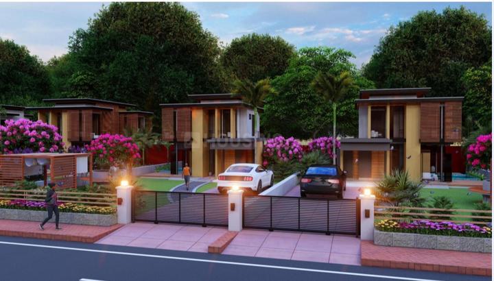 Nature Nest  Plot View 1