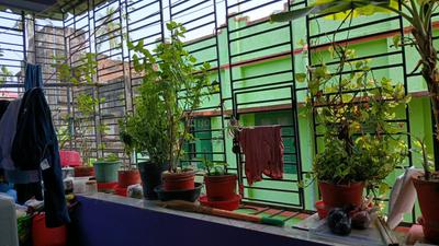 Image of 720 Sq.ft 2 BHK Apartment / Flat for rent in Agarpara, Kolkata for Rs. 15000