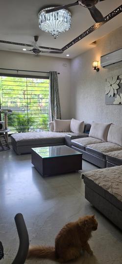 Sector 79 Main Image 1