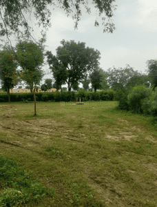 Image of 1500 Sq.ft Residential Plot / Land for sale in Sarangpura, Jaipur for Rs. 5500000