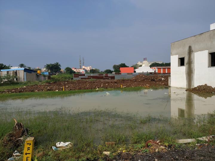 navganesh ecstacy Main Image 1