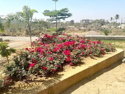 Image of 1200 Sq.ft Residential Plot / Land for sale in Pirda-2, Raipur for Rs. 4380000