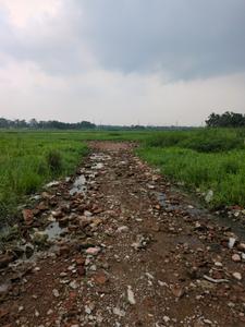 Nest Valley Internal Roads 2