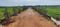 Pithauriya Main Image 1