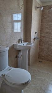 Bathroom Image of 1600 Sq.ft 3.5 BHK Apartment / Flat for sale in Terrace Homes, Noida Extension Greater Noida for Rs. 12435000
